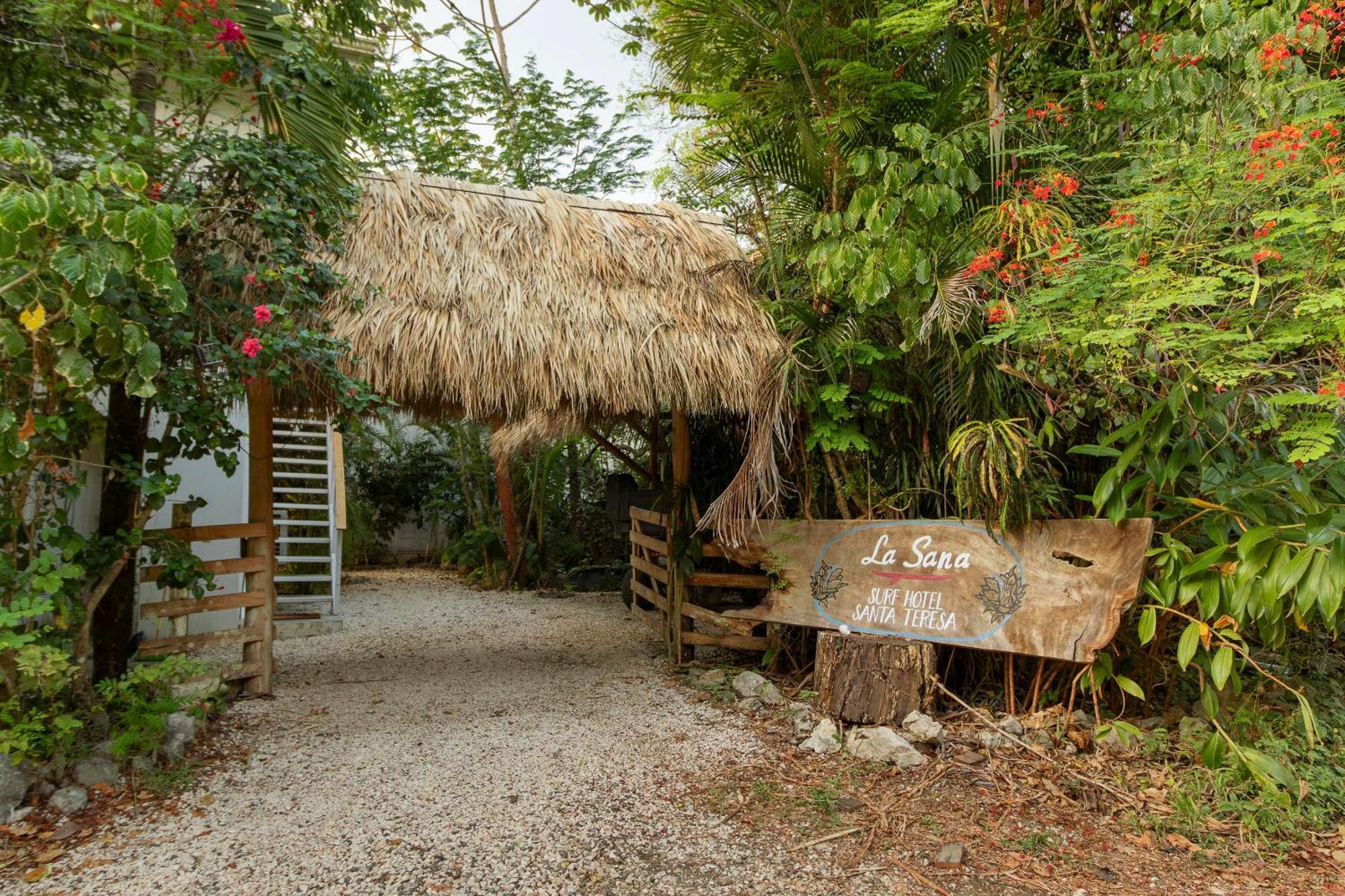 La Sana Surf Hotel, New Management, Few Mn Drive To The Beach Playa Santa Teresa  Bagian luar foto